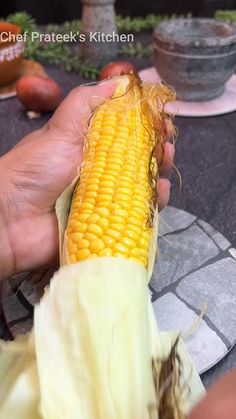 a person holding a corn on the cob in their hand