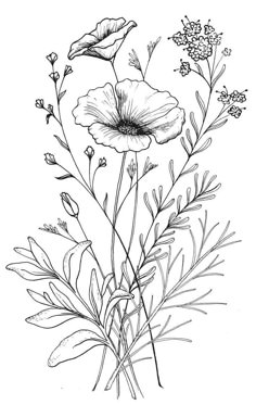 a drawing of flowers on a white background with the words,'flower arrangement '