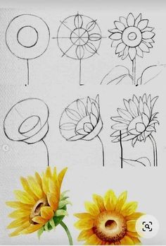 Sunflower Drawing Tutorial, How To Draw A Sunflower, How To Draw Sunflowers, Sunflowers Drawing, Draw Sunflower, Watercolour Sunflower, Flower Sketch Pencil, How To Draw Flowers, Painting Flowers Tutorial