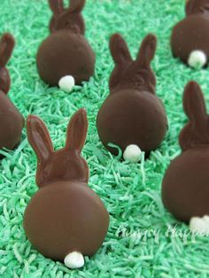 there are chocolate bunnies with bunny ears on them