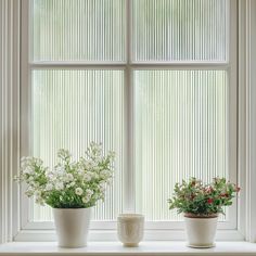 three potted plants sit on a window sill in front of the windowsill