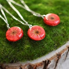 three red necklaces sitting on top of a green moss covered ground next to a piece of wood