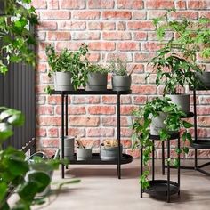 several potted plants sitting on top of black stands in front of a brick wall