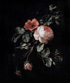 a painting of flowers on a black background