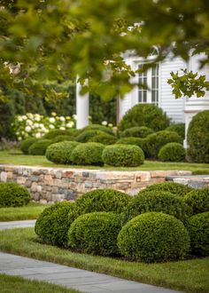 some bushes and trees in front of a house with a stone walkway leading to it