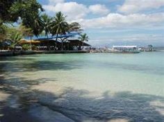 the water is crystal clear and blue in this tropical beach scene, with palm trees lining the shoreline