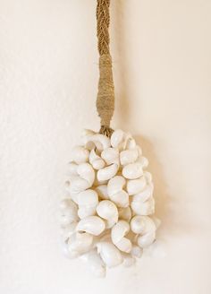 a bunch of white mushrooms hanging from a rope