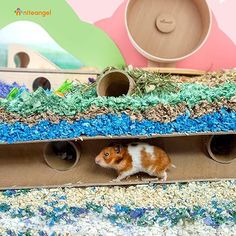 a small rodent is hiding in a cardboard box filled with blue and green grass