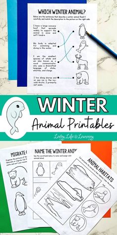 Discover how animals adapt, migrate, and hibernate during the winter 
​season while enhancing critical thinking and research skills with these 
​fun and educational Winter Animal Printables! Dive into the wonders of 
​wildlife with this delightful homeschool activity!