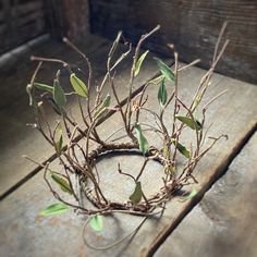 "This faux branch crown is inspired by the natural beauty of twigs. Lightweight, attaches with an elastic strap hidden under the hair at the nape of the neck. Diameter   3 1/2\" Height -Approximately 5 inches" Narnia Party, Fae Costume, Mother Nature Costume, Witch Wedding, Princess Crowns, Faux Branches