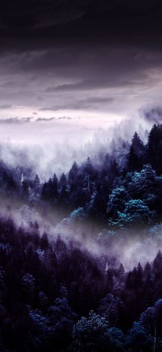 the sky is filled with clouds and fog as it rises over a forested mountain range