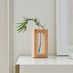 a plant in a wooden vase sitting on top of a white table next to a framed photograph