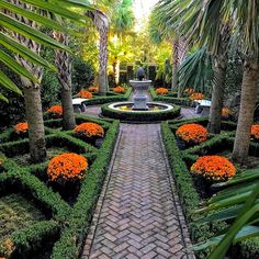 an outdoor garden with lots of plants and flowers in the center, surrounded by palm trees