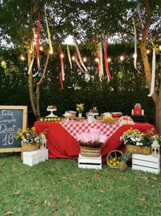 an outdoor picnic with food and decorations on the grass, lights strung from trees above