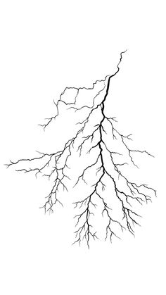 a black and white drawing of a tree branch