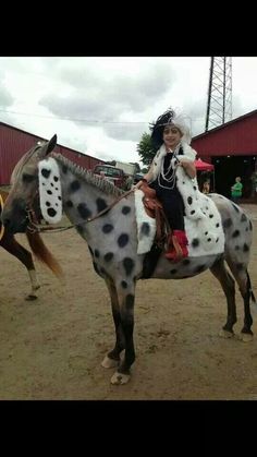 Cute Witch Horse Costume, Halloween Costumes For Horses, Costumes For Horses, Horse Halloween Ideas, 4h Goats, Horse Fancy Dress, People With Pets, Horse Halloween Costumes, Halloween Horse