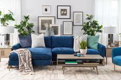 a living room with blue couches and pictures on the wall