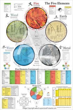 The Five Elements of Acupuncture. Repinned http://www.medischeqigong.com/ http://www.academ.nl/ #qigong Autogenic Training, Meridian Points, Point Acupuncture, The Five Elements, Five Elements, Shiatsu Massage, 5 Elements, Acupuncture Points