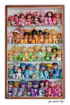 a shelf filled with lots of little toy figurines