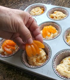 a hand picking up an orange slice from a muffin tin filled with cupcakes