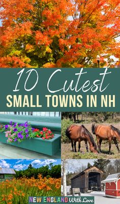 small towns in north carolina with the title 10 cutest small towns in north carolina