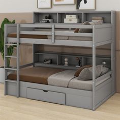 a bunk bed with drawers underneath it and a plant in the corner next to it