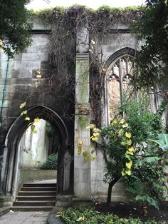 an old building with ivy growing on the walls and stairs leading up to it's entrance