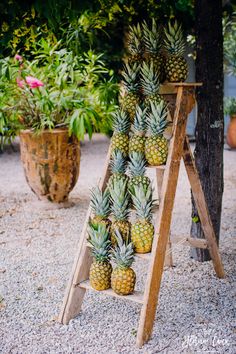 several pineapples are stacked up on a ladder