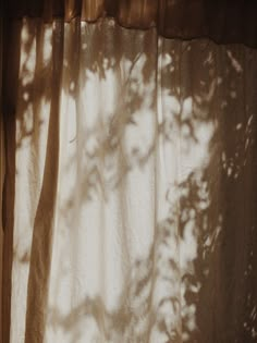 the shadow of a tree on a curtain