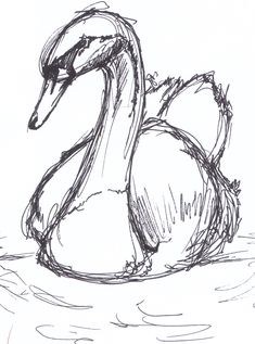 a drawing of a duck in the water