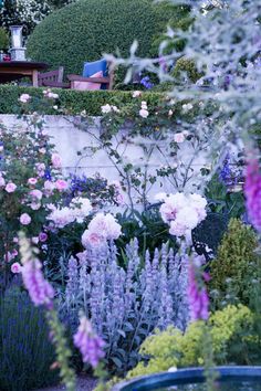 the garden is full of purple and white flowers