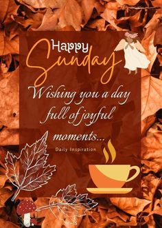 happy sunday wishing you a day full of joy and moments daily inspirational quote on autumn leaves