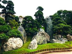 some very pretty rocks and trees in the grass