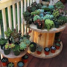 three tiered plant stand filled with succulents on a porch next to a fence