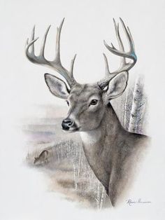 a drawing of a deer with large antlers on it's head and neck