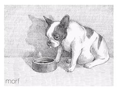 a drawing of a dog eating out of a bowl