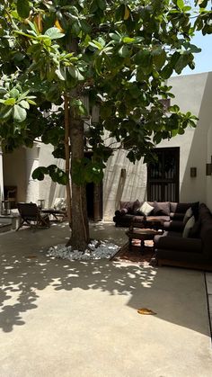 an outdoor living area with couches, tables and a large tree in the middle