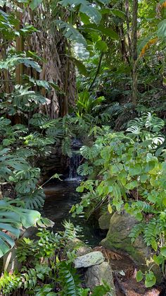 there is a small waterfall in the middle of some trees and plants on the ground