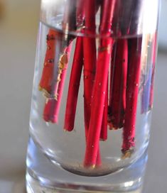 some red sticks are in a glass filled with water