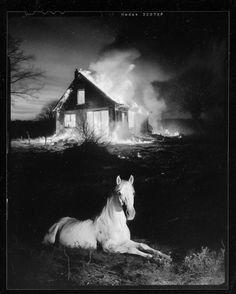 black and white photograph of a horse in front of a house with fire coming from the roof