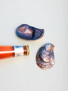 two seashells and an orange lip balm on a white surface, with one shell partially open