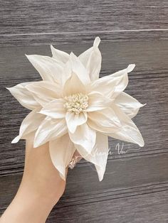 a person's hand holding a white flower on top of a wooden table next to a wall