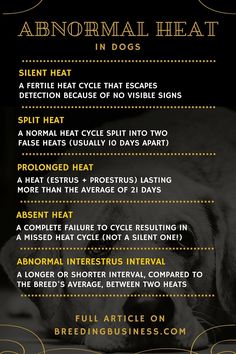 an advertise poster with the words abnormal heat in dogs on it's side