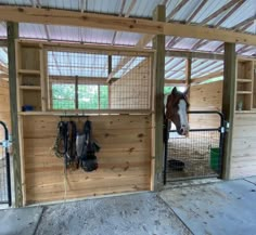 a horse is standing in the stable with its head sticking out from it's stall