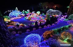 people are standing in the middle of an illuminated garden