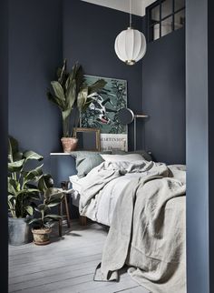 a bedroom with dark blue walls and white bedding, potted plants in the corner