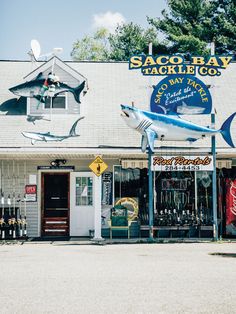 the front of a store with several signs on it's windows and two fish sculptures hanging from the roof