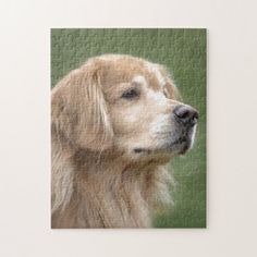 a golden retriever's face is shown in this jigsaw puzzle