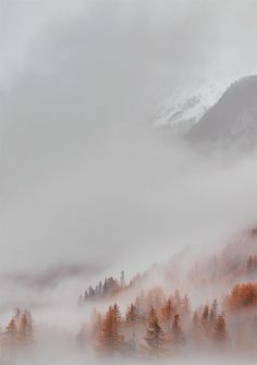 the mountains are covered in fog and trees