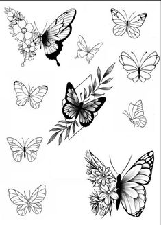 butterflies and flowers are drawn in black and white